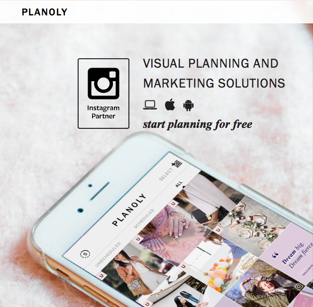 Planoly app image